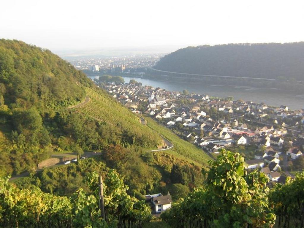 Hotel Am Martinsberg Андернах Екстер'єр фото